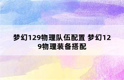 梦幻129物理队伍配置 梦幻129物理装备搭配